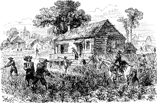 Tobacco Cultivation in Colonial Virginia