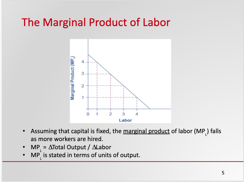 Markets for the Factors of Production Labor Sample Slide